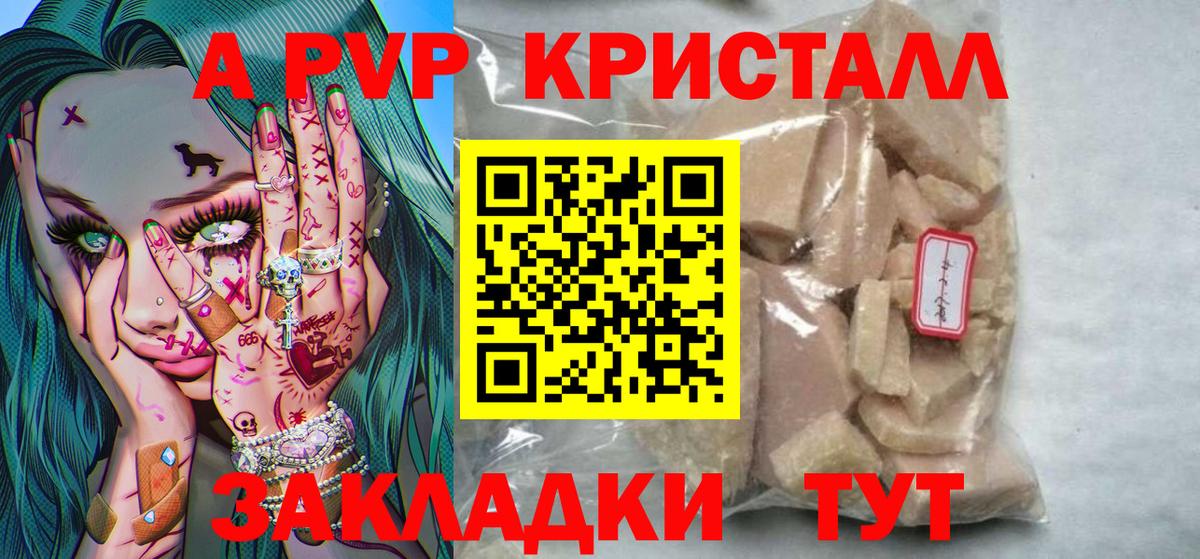 A PVP СК КРИС Светлоград