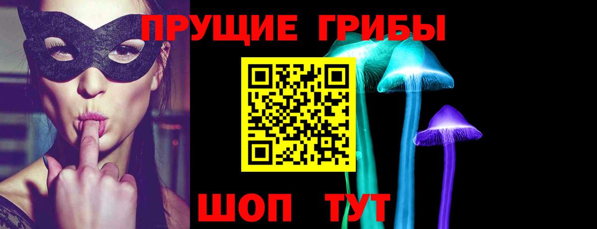 Светлоград  Псилоцибиновые грибы Cubensis  Галлюциногенные грибы Psilocybine cubensis  Вход с VPN 